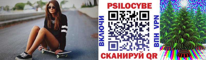 Псилоцибиновые грибы Psilocybine cubensis  Абдулино 